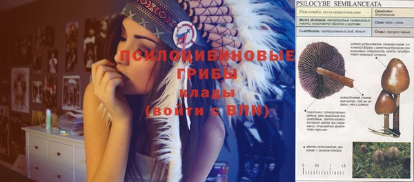 скорость Аркадак
