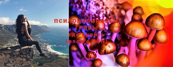 ECSTASY Армянск