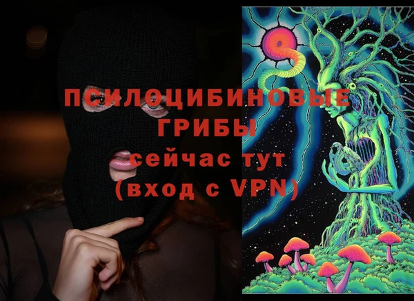 герыч Арсеньев